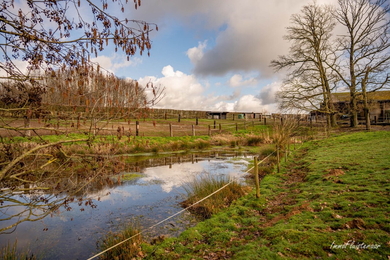 Magnifique complexe équestre avec maison d'entreprise, environ 33 écuries et une piste intérieure sur plus de 5,6 hectares à Bever (Brabant flamand). 