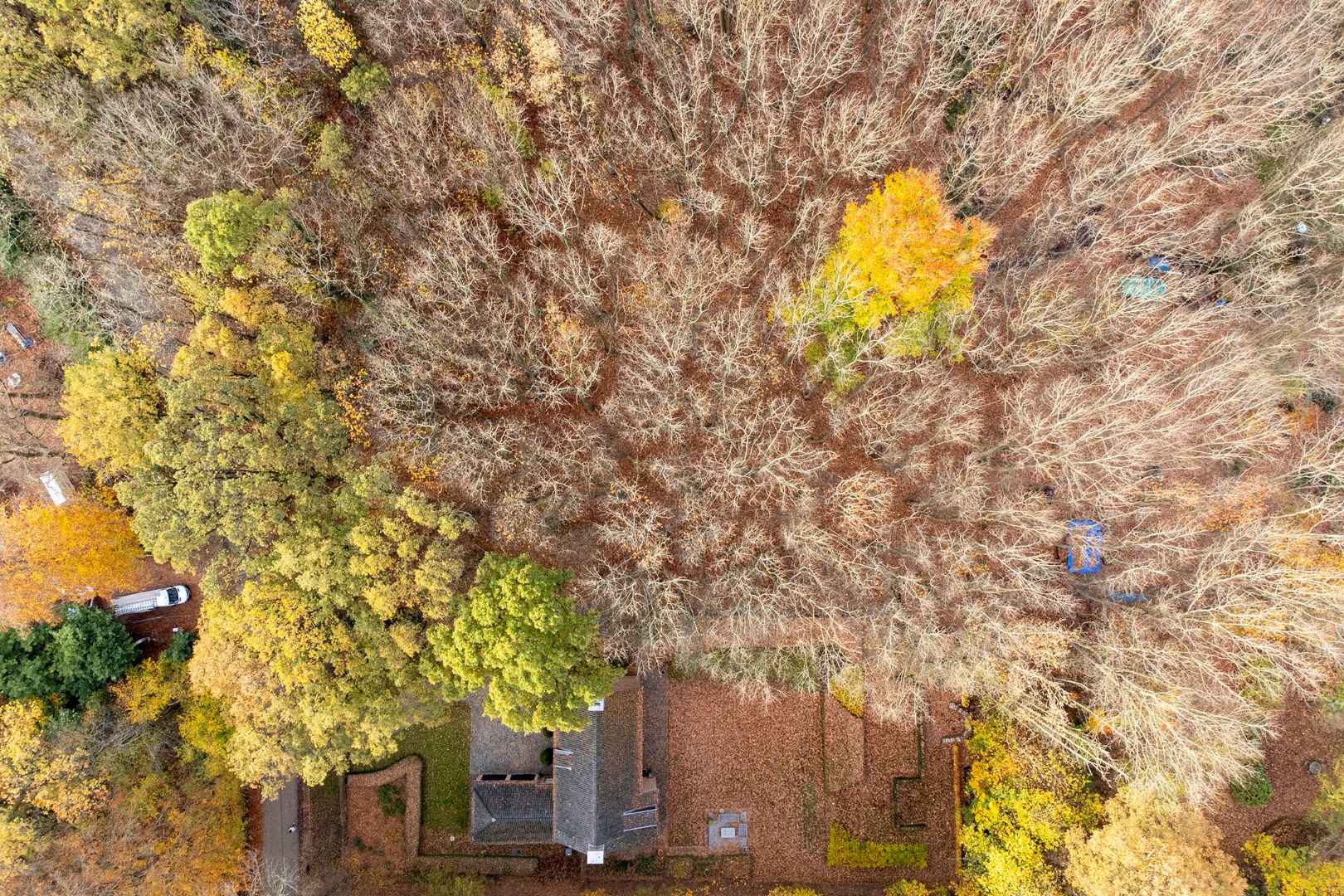 Prachtige bouwgrond van 22a 63ca te koop op een toplocatie in Hoog-Linden! 