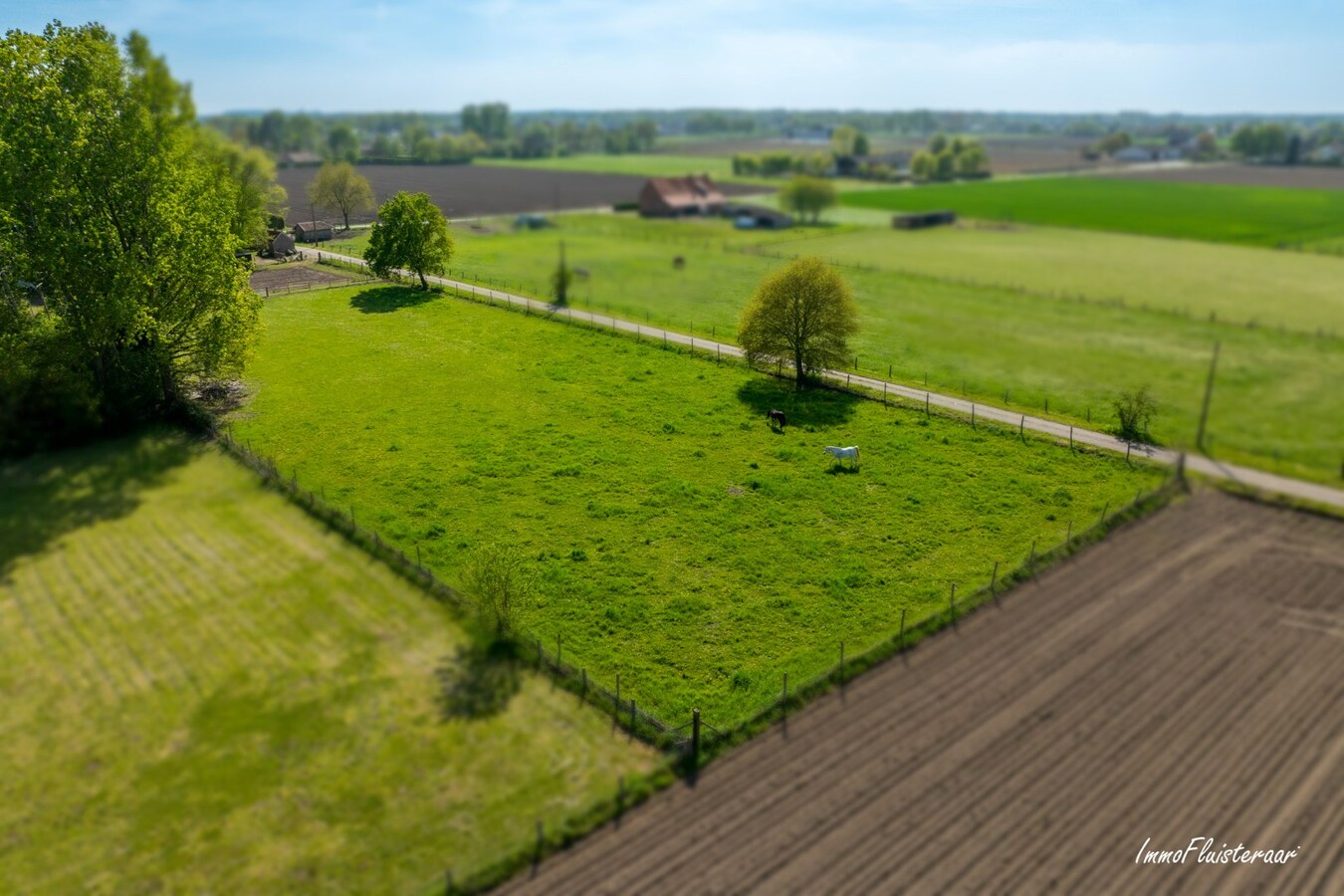 Rustig gelegen, luxueuze villa op ca. 1,5 ha te Herenthout BEZOEKMOMENT 6 JUNI 