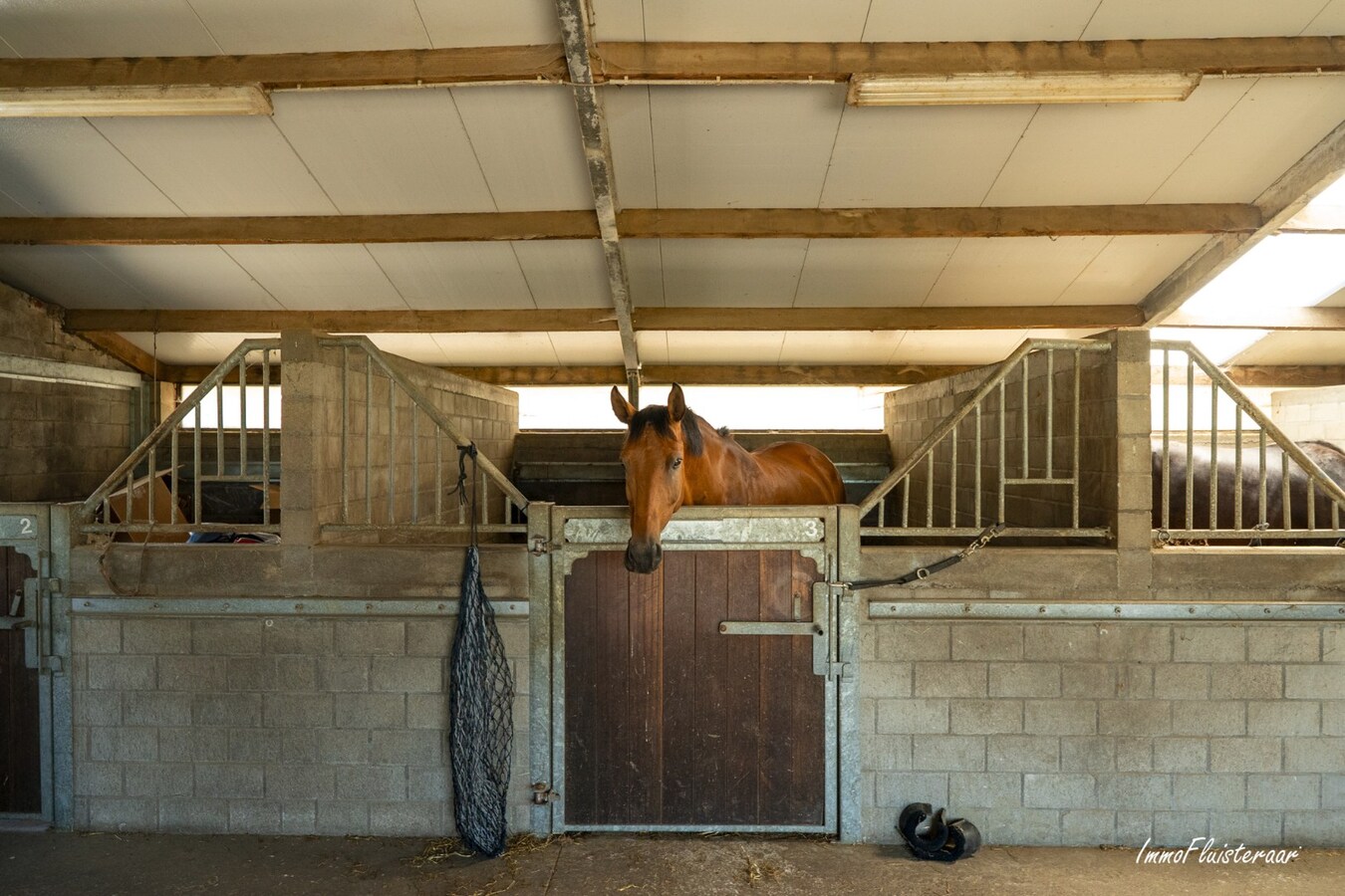 Unieke eigendom met paardenaccommodatie op 33.647 m² in Menen 