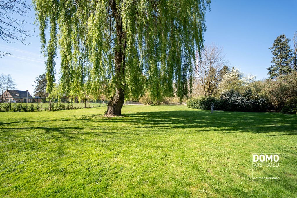 Ruime gerenoveerde woning met voldoende ruimte en tal van mogelijkheden 