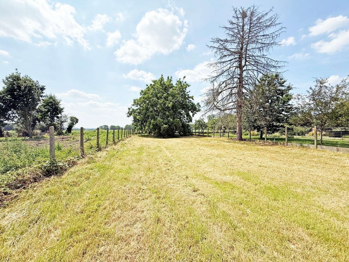 Te renoveren/te slopen handelshuis op 11 are te Sint-Antelinks 