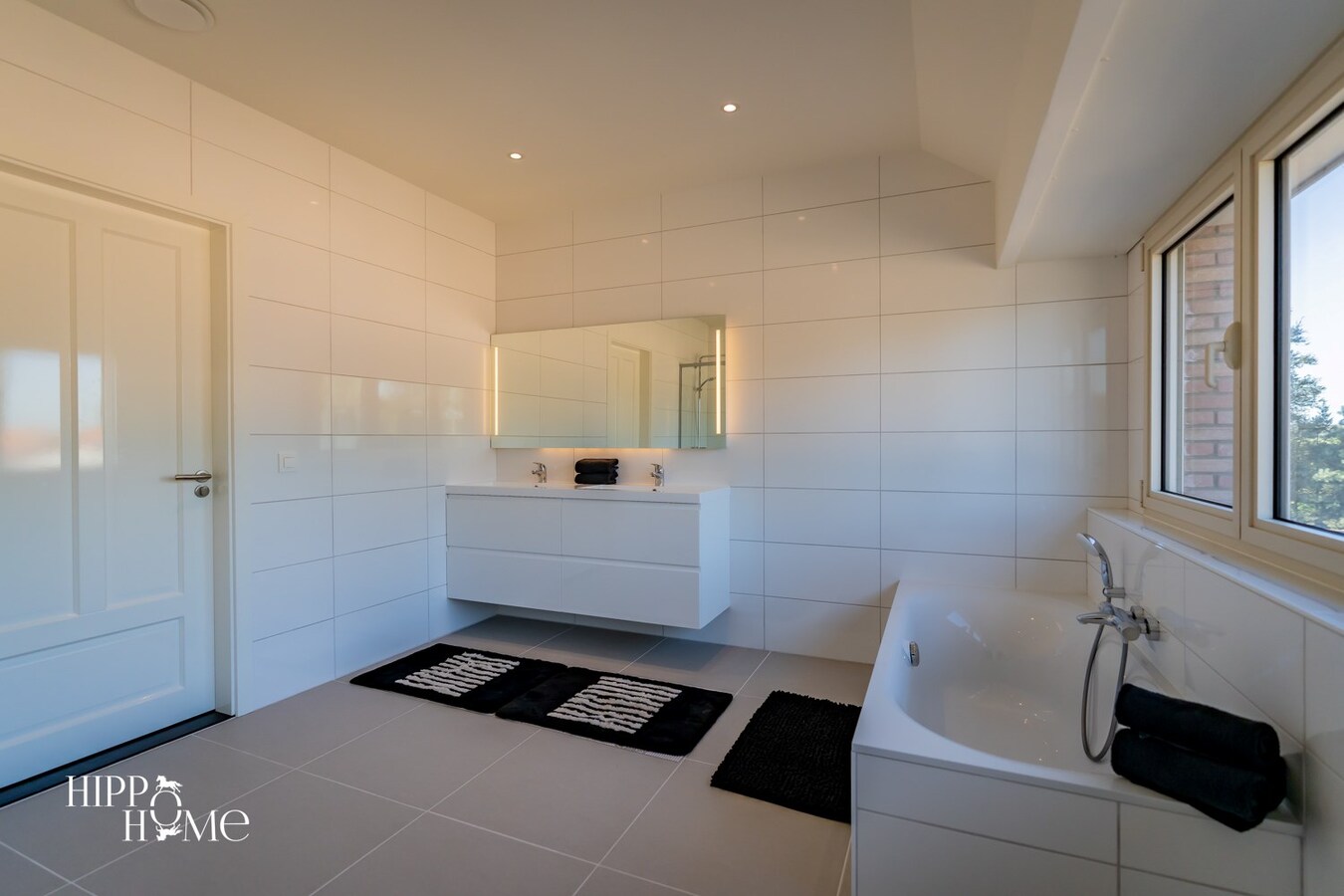 Hedendaags woning met hangar en aanpalend grasland op +/- 1,5ha 