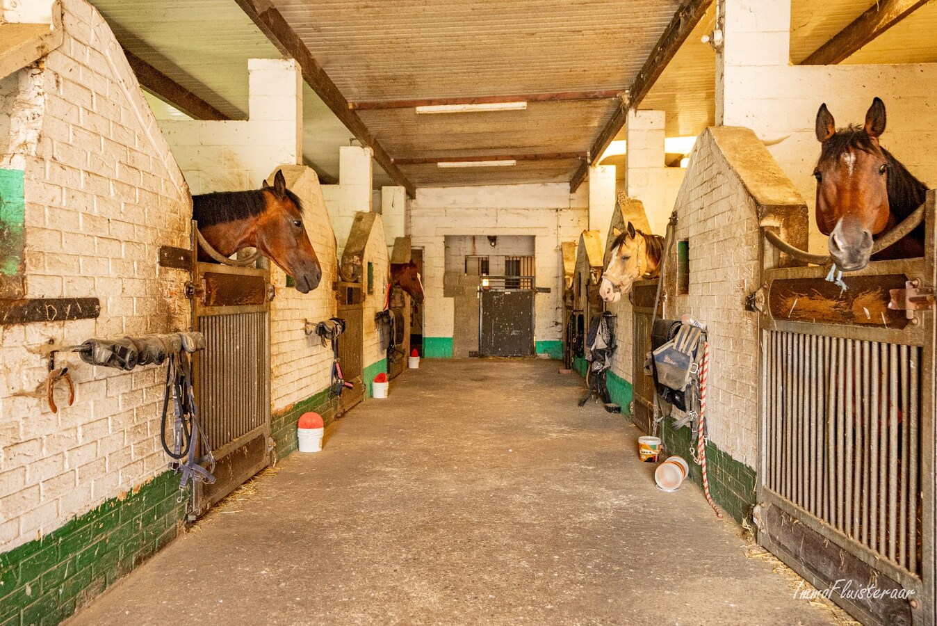 Propriété équestre avec maison à rénover à ca. 90a à Wonck (Bassenge). 