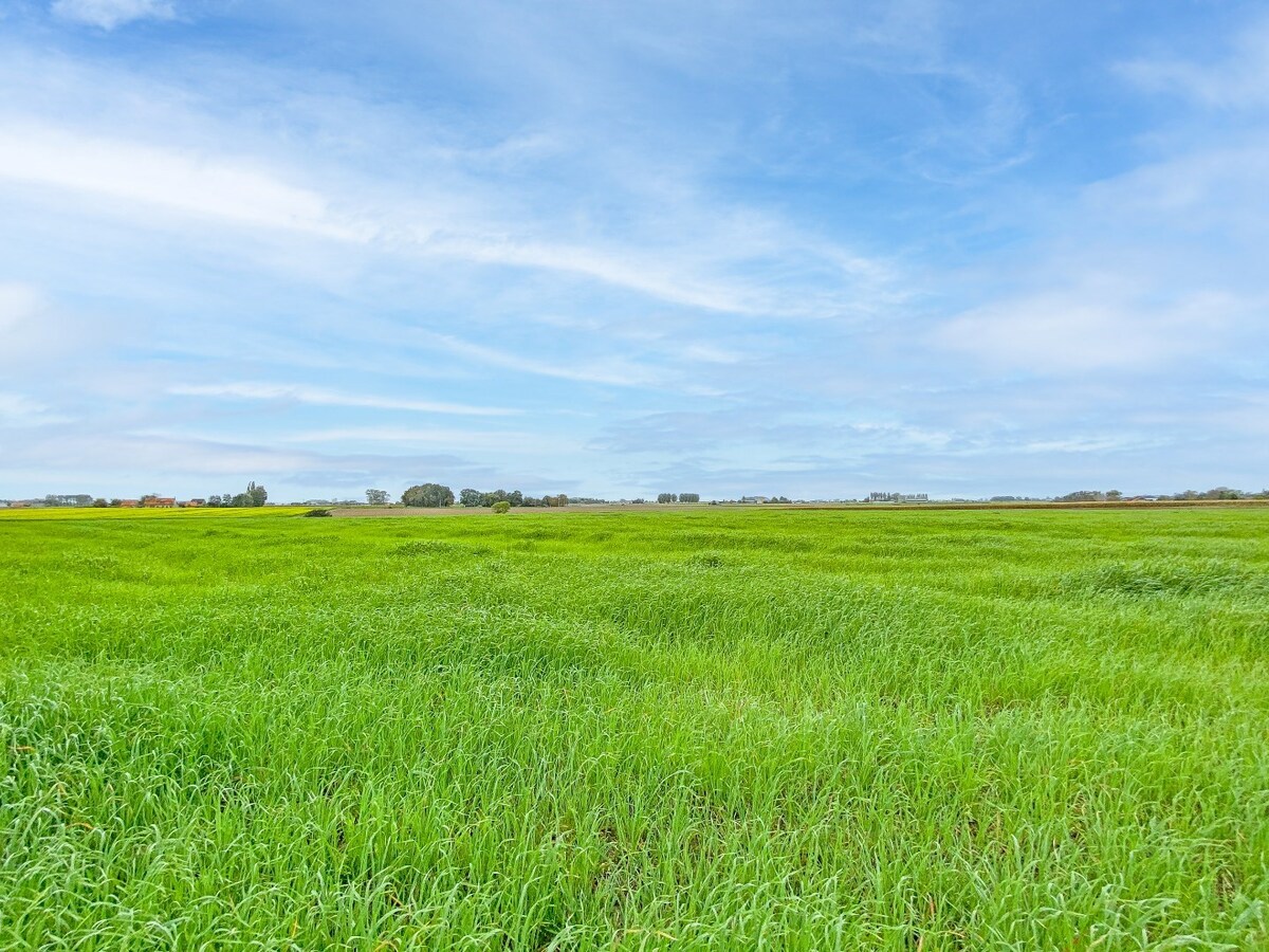 Verkocht woning - Alveringem