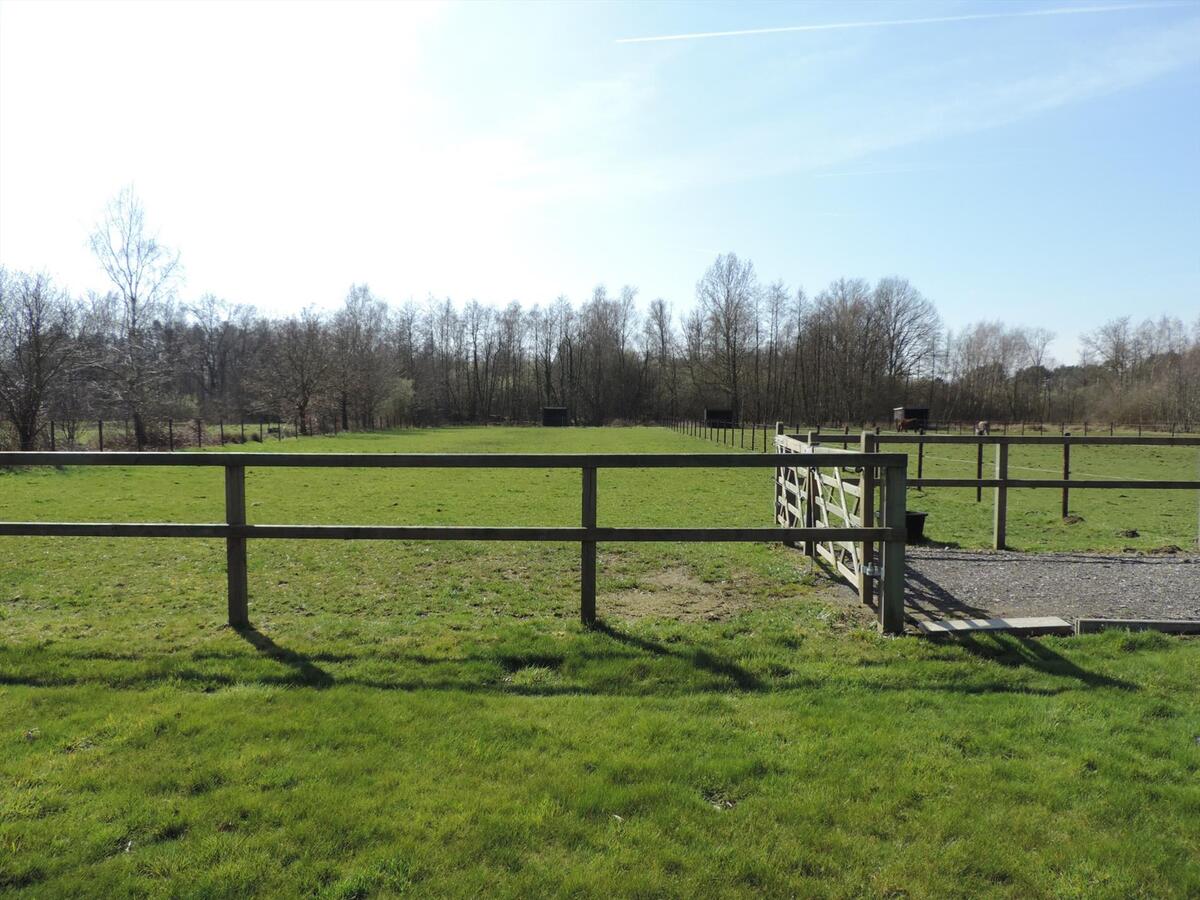 Ferme vendu À Lummen