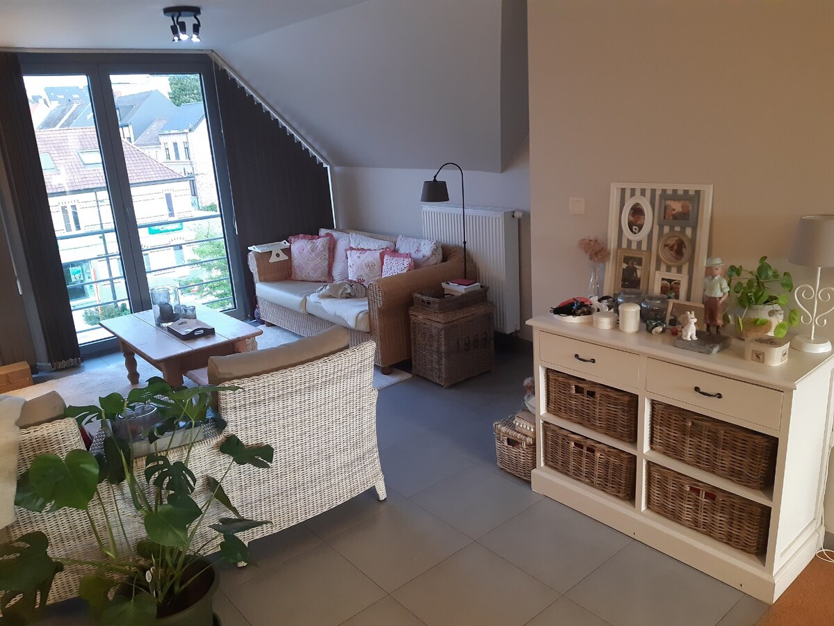 Ruim, eigentijds duplex-appartement 