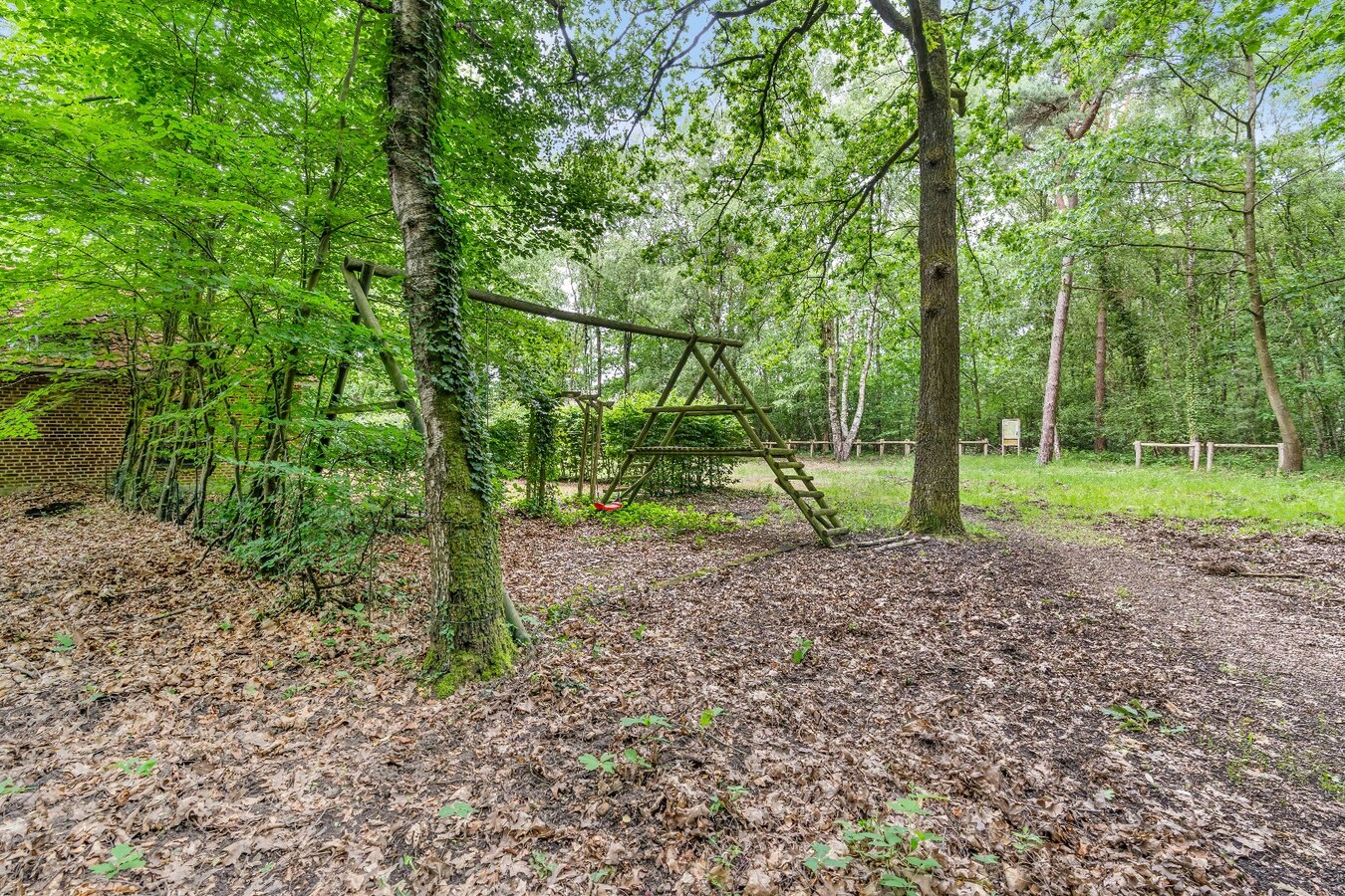 Authentiek horecapandje ideaal voor een healthy coffee-, lifestyle- en natuurconcept in het Dilserbos-Sparrendal. 