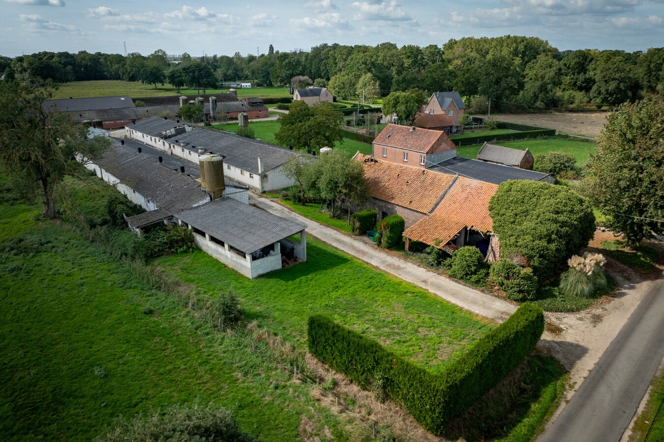 Hoeve met stalgebouwen op ca. 1ha te Bree 