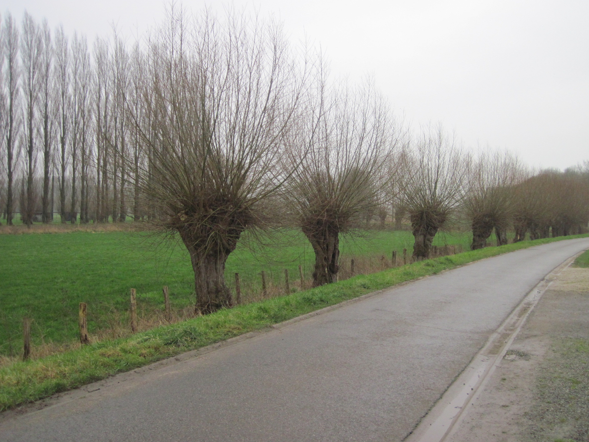 Stijlvolle en degelijke bungalow. Unieke ligging. 