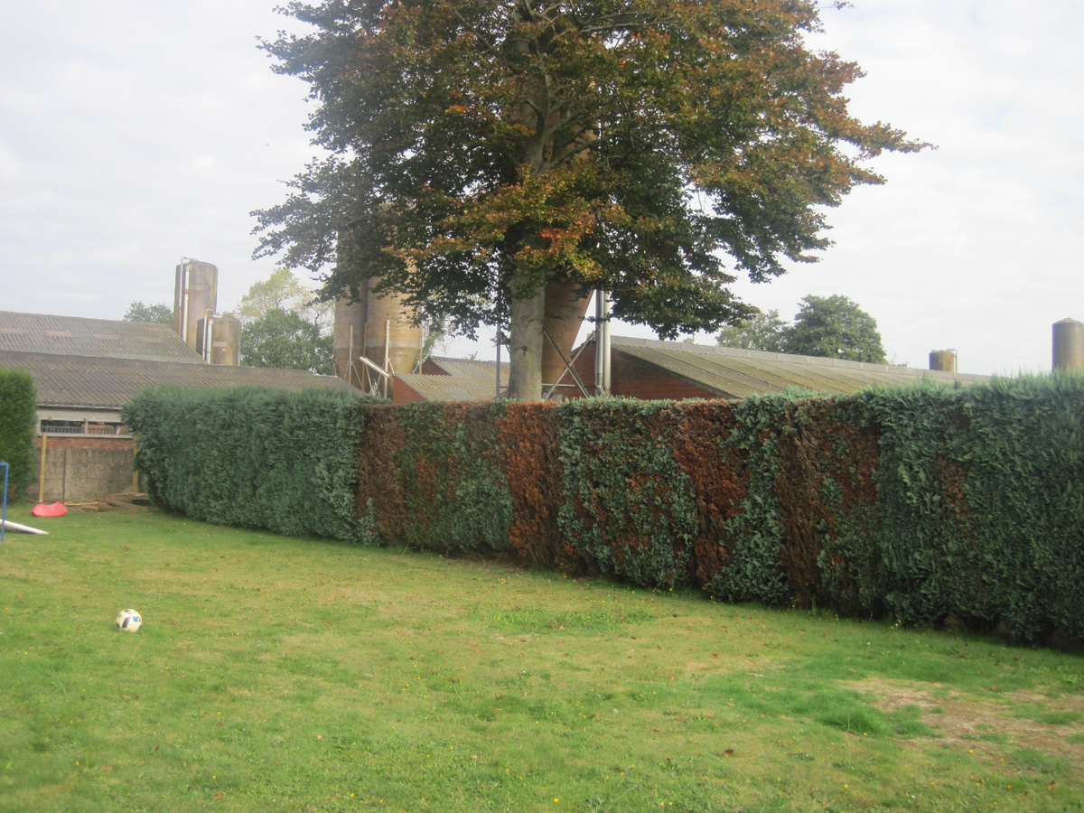 Degelijke gelijkvloerse woning. 