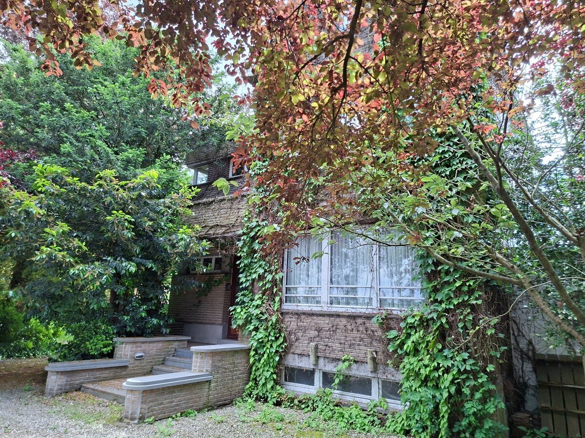 Exceptionnel, les Collines, propriété sur 8900m². 