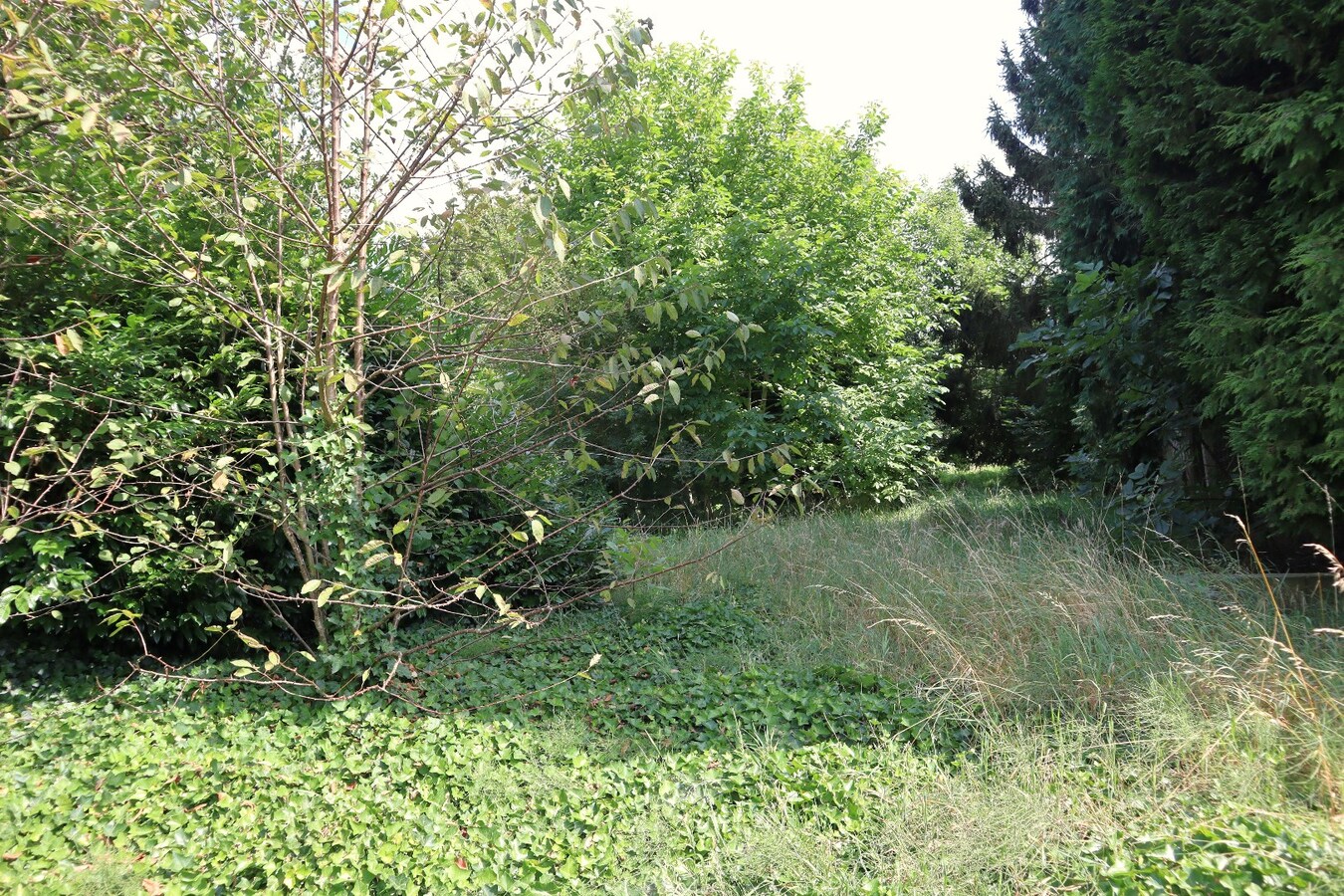 Perceel grond van 07 are 07ca 