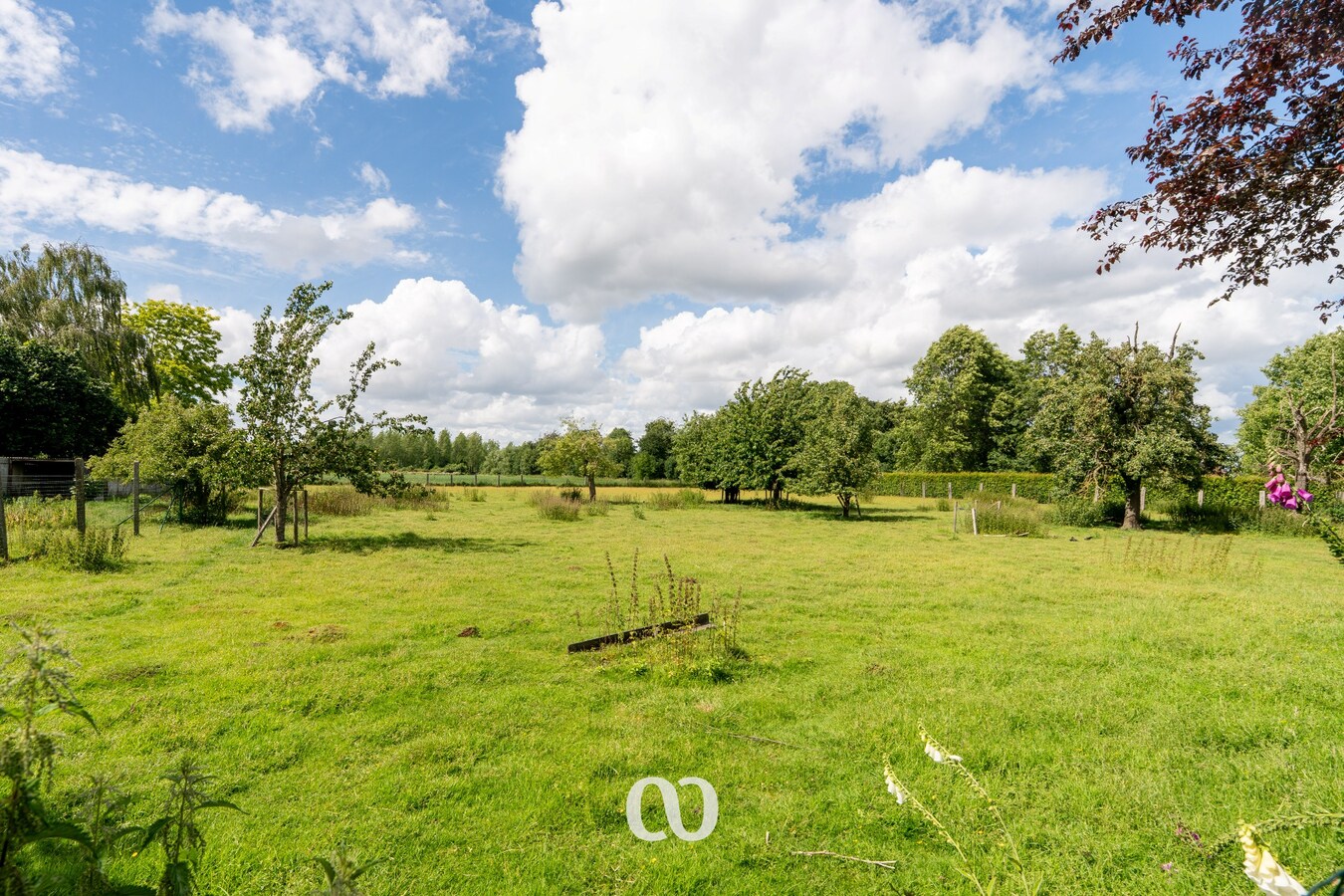 Ruime woning op meer dan 6.500 m² in Avelgem 