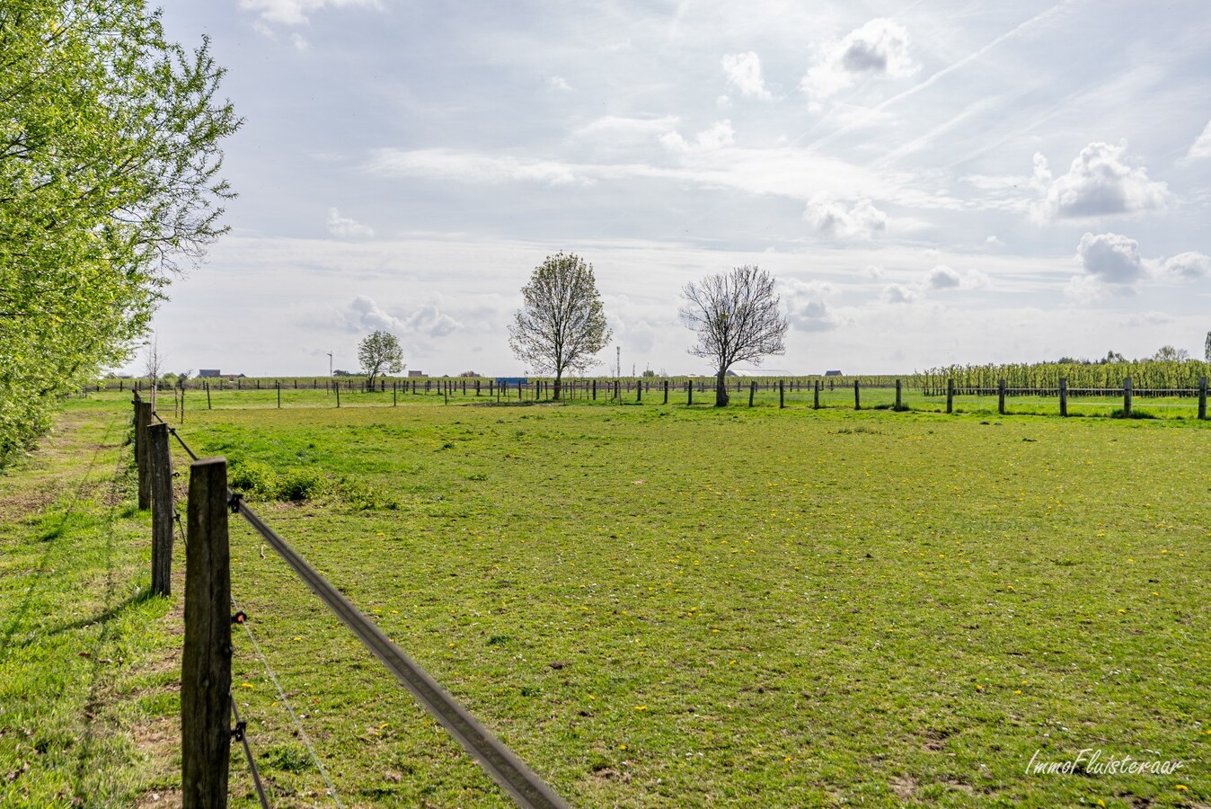 Charmante verder af te werken woning met paardenstallen en weide op ca. 1,7 ha te Geetbets 