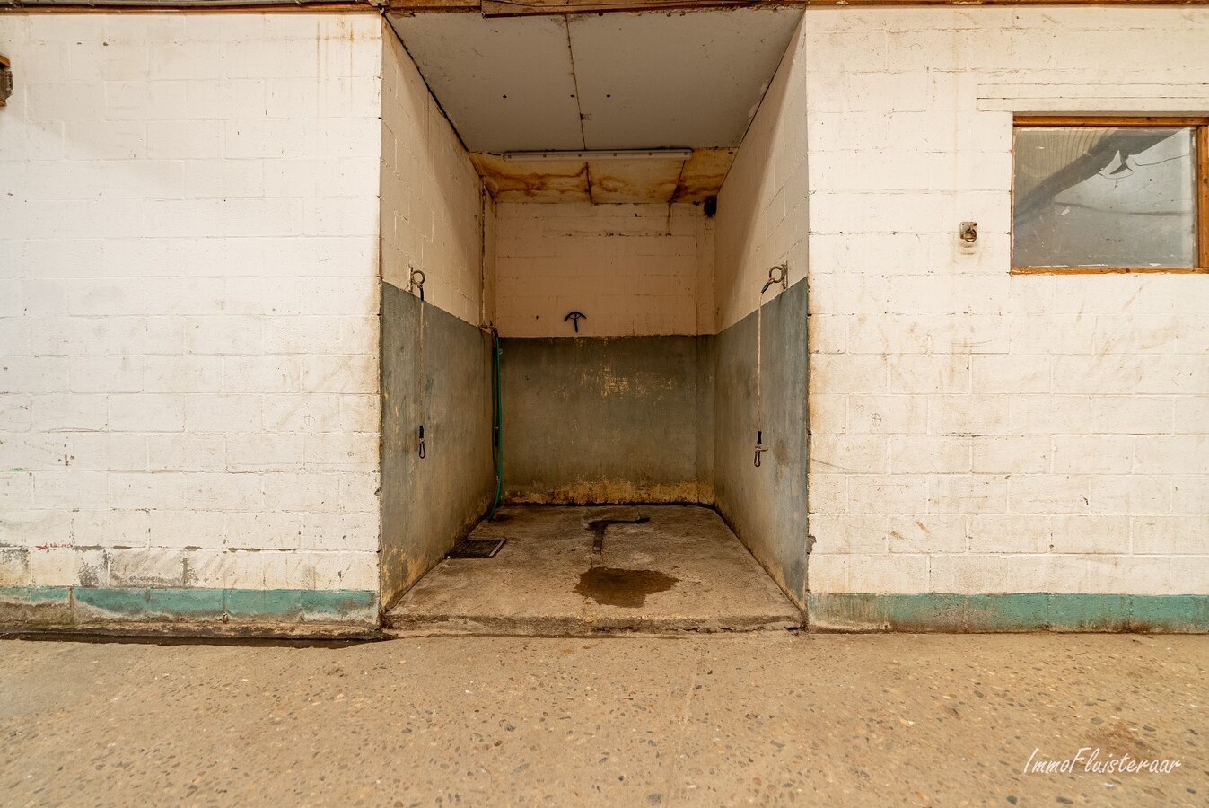 Propriété équestre avec maison à rénover à ca. 90a à Wonck (Bassenge). 