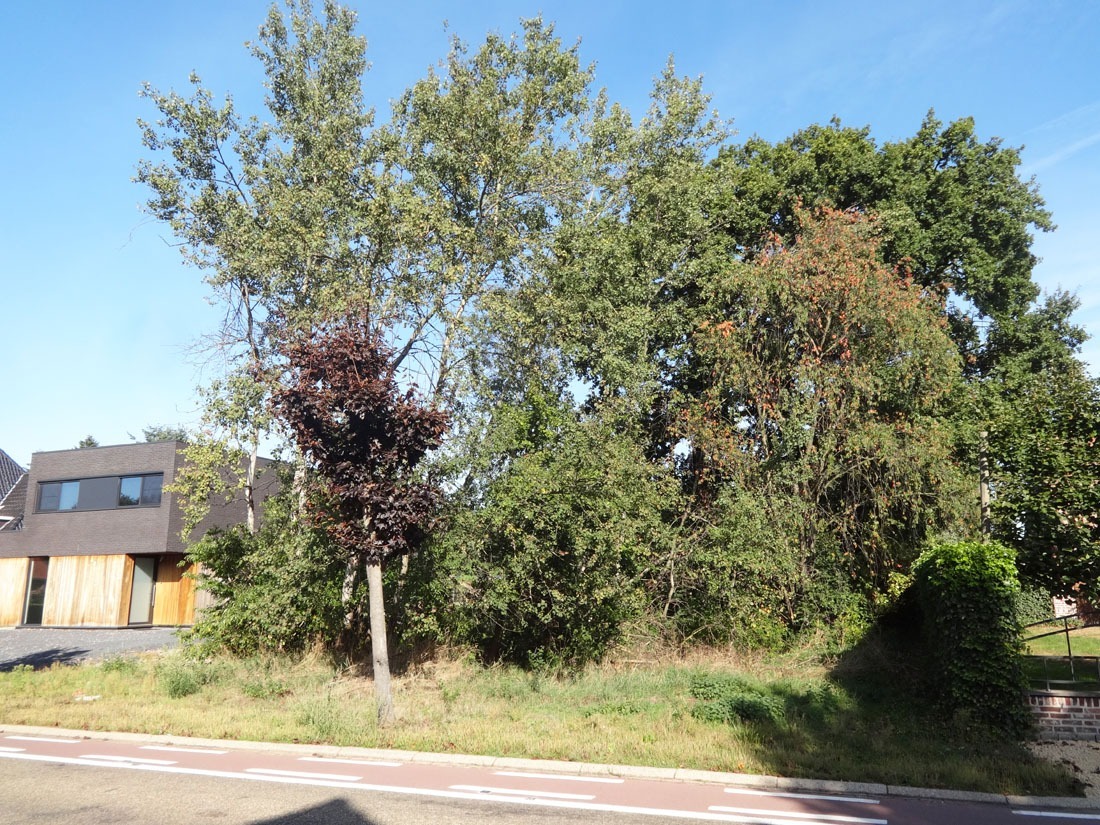 Verkocht grond - Zolder