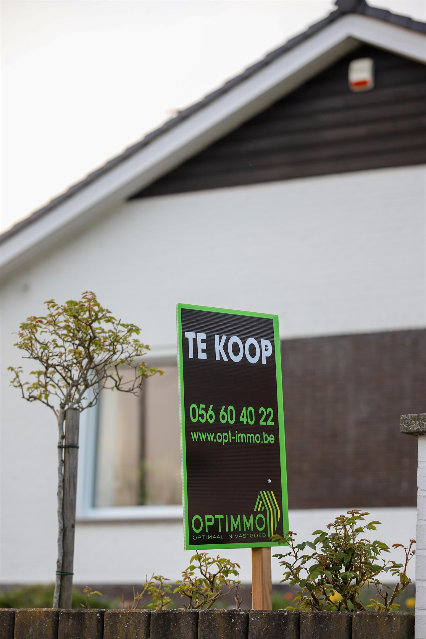 Welkom bij Optimmo! Ontdek ons uitgebreide aanbod van woningen, appartementen en vastgoedservices. Onze experts helpen je bij de aankoop, verkoop en verhuur van je vastgoed. Bezoek onze site voor professioneel advies en topservice.