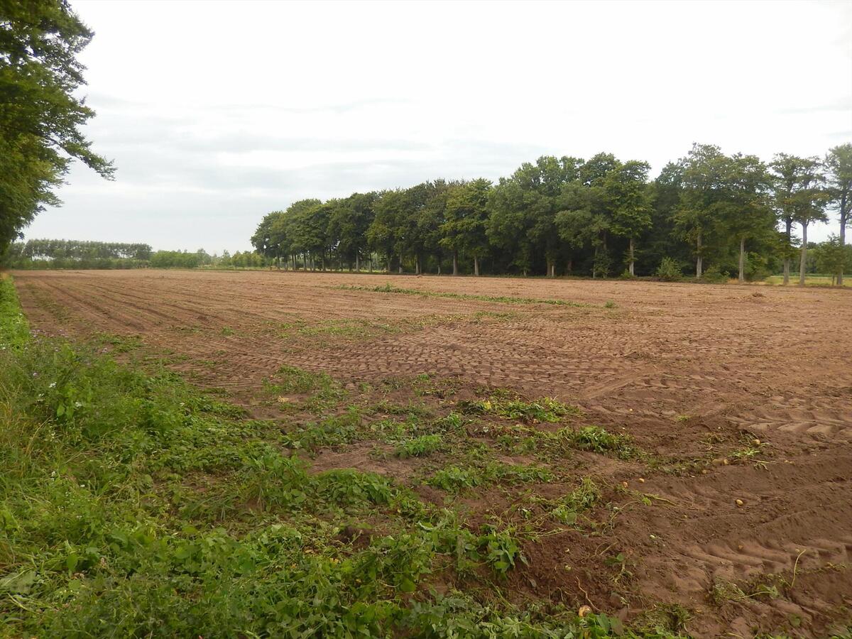 Verkocht - Grond - Jabbeke