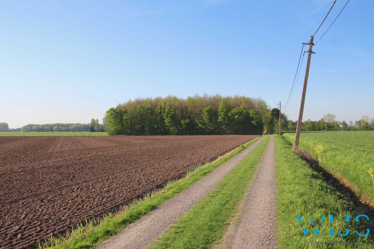 Fenomenaal gelegen Hoeve met bijgebouwen te Assenede ! 