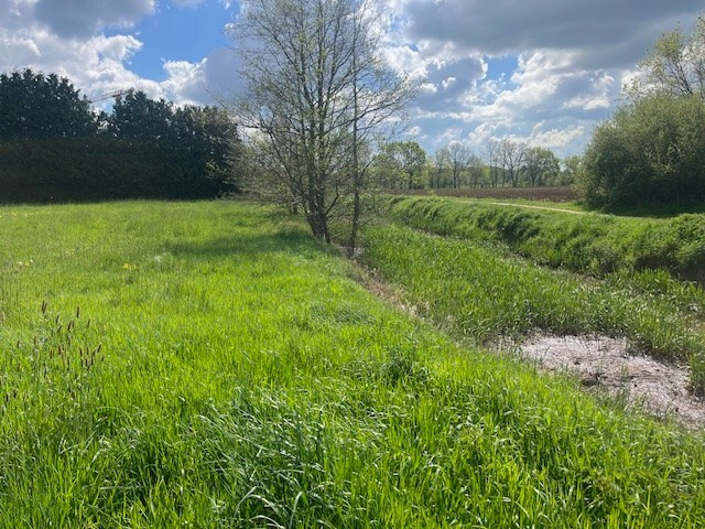 Te koop grond - Begijnendijk