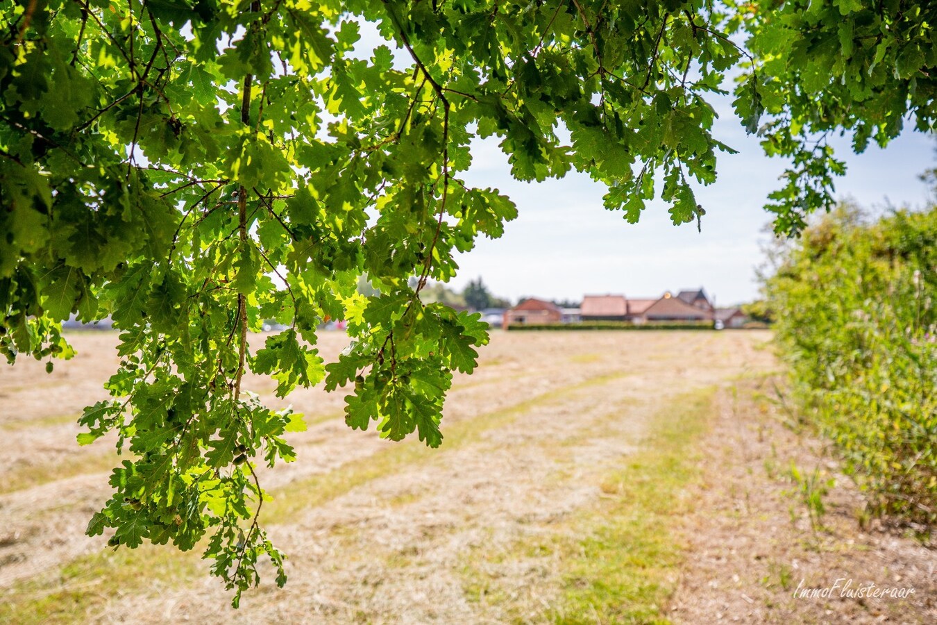 Uniek gelegen karaktervolle hoeve met twee stalgebouwen op ca. 2,4ha in Alken 