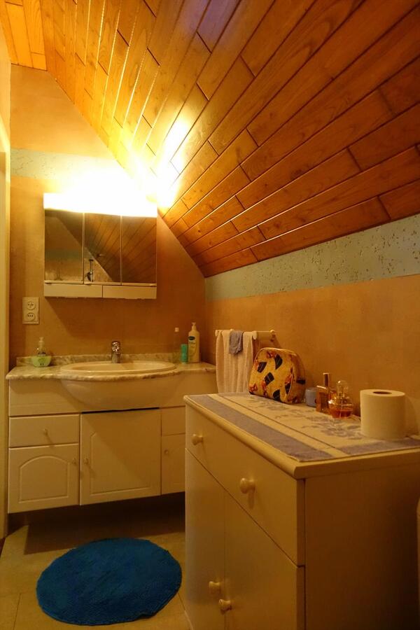 Goed gelegen woning met grote tuin 