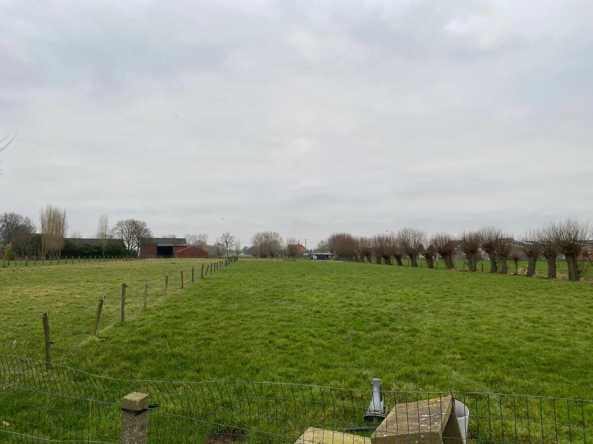 Stuk weiland te Roksem 