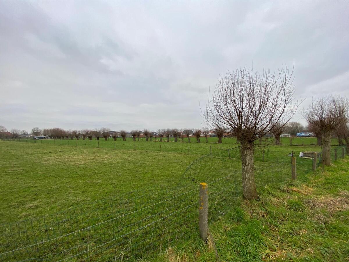 Stuk weiland te Roksem 