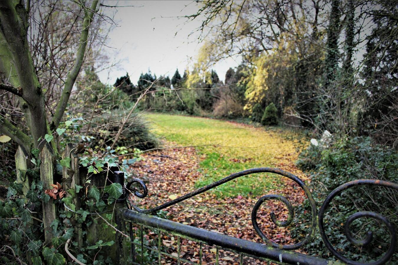 Woning (5 slaapkamers) met vergunde horecazaak (café), studio, recreatieterrein en weides op ca. 1.5ha te Kortenaken (Vlaams-Brabant) 