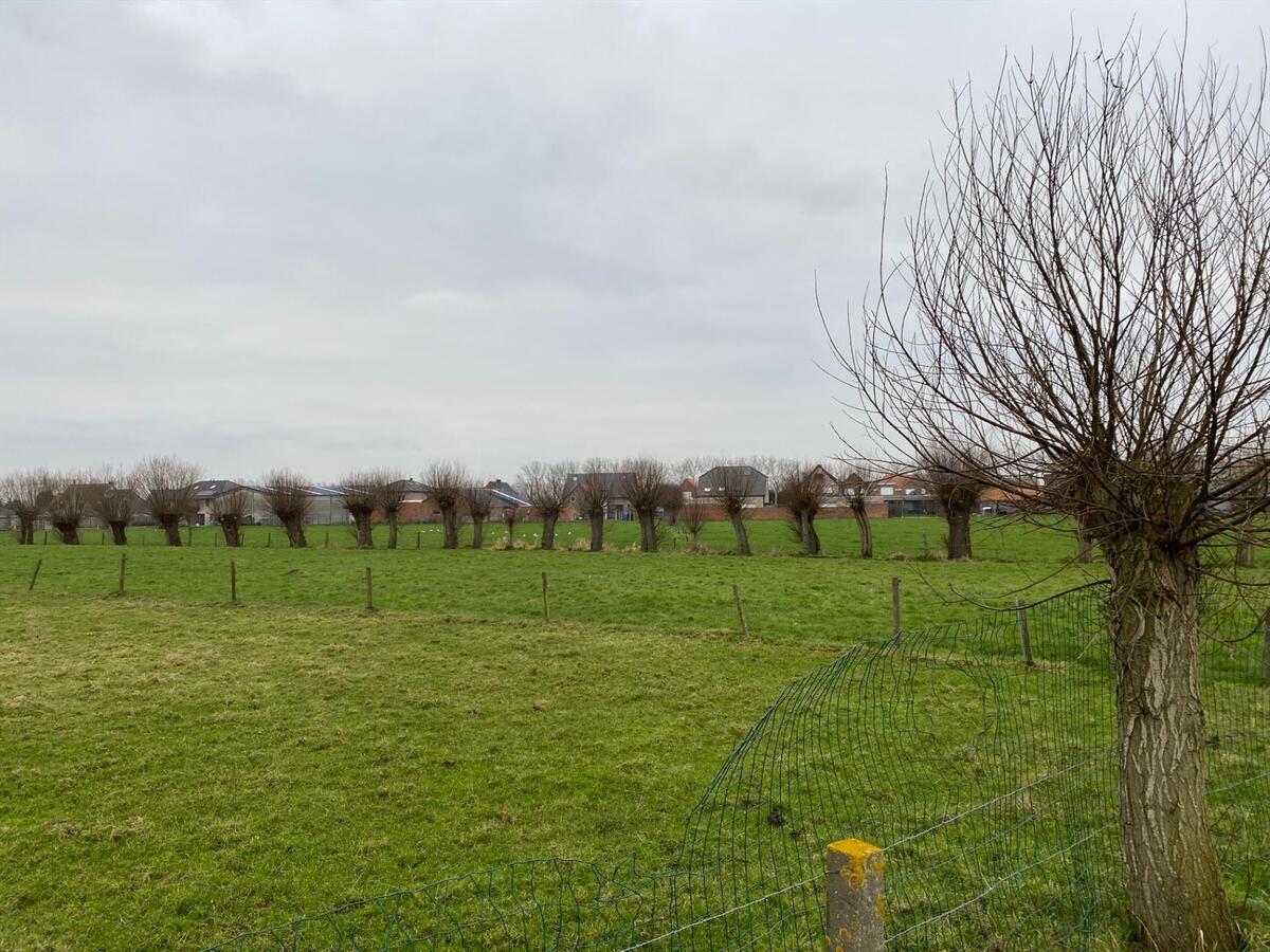 Stuk weiland te Roksem 