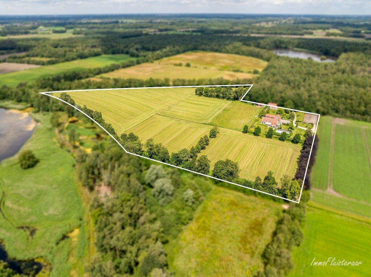 Manoir exclusif avec écuries, piscine et court de tennis sur un domaine d'environ 9 hectares à Retie. 
