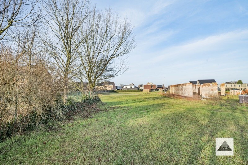 Verkaveling Wurfelder Bosschen fase 2 : mooi perceel grond voor halfvrijstaande woning 