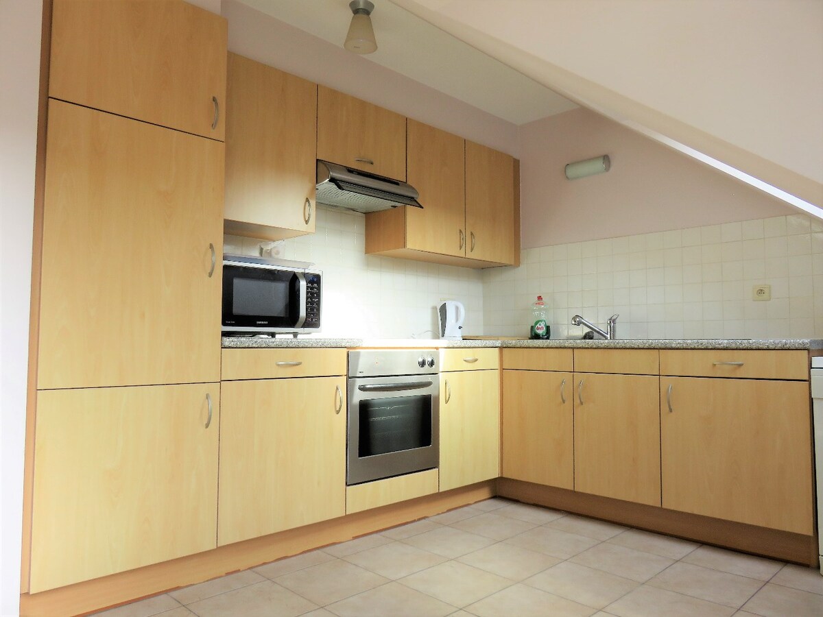 RUIM DAKAPPARTEMENT MET 2 SLAAPKAMERS IN CENTRUM BERINGEN 