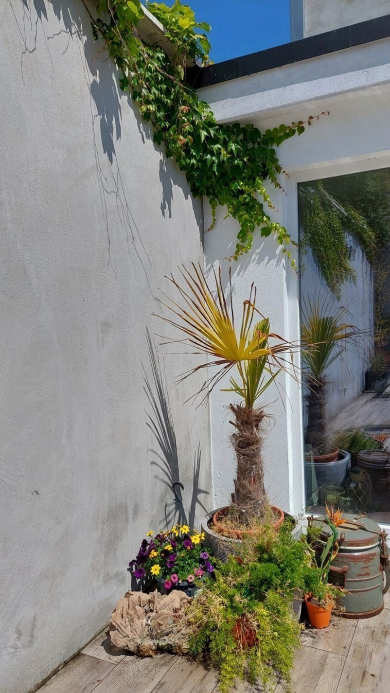 Maison authentiquement rénovée avec jardin orienté sud-ouest. 