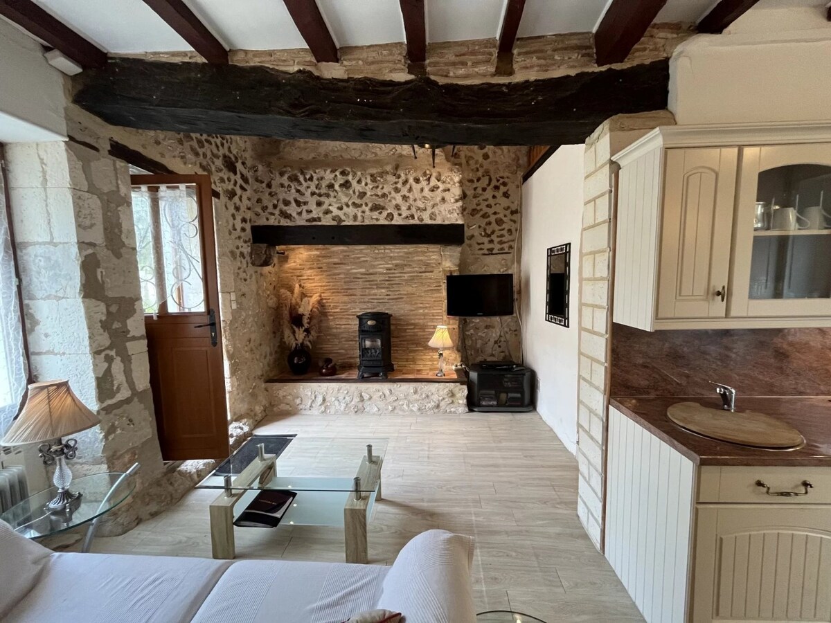 SAINT-MARTIN-DE-RIBERAC - Vakantiewoning met zwembad en 2 gîtes 