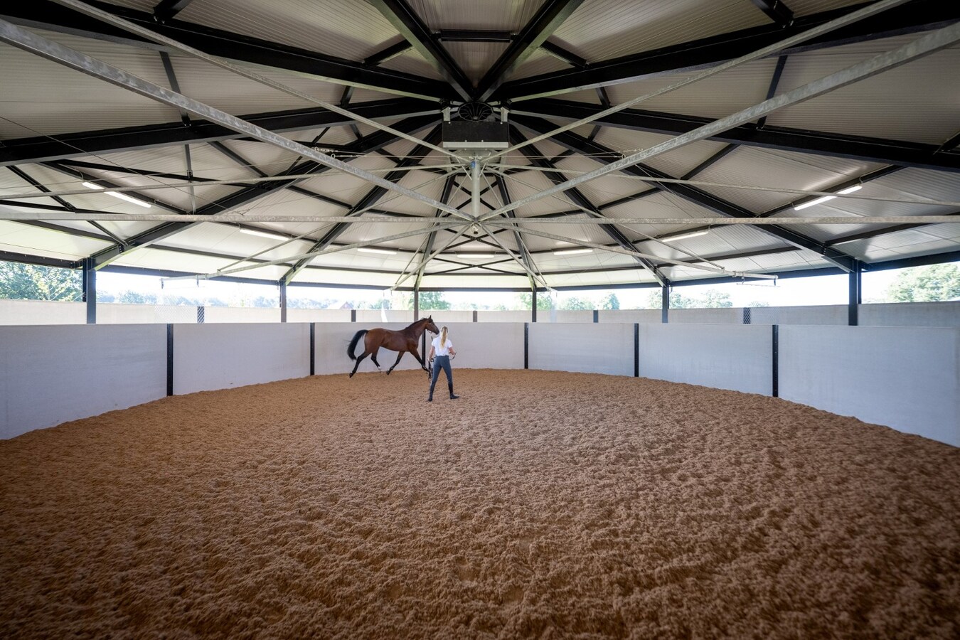 Exclusive professional equestrian accommodation (new construction) with villa on approximately 9 hectares in Neerpelt. 