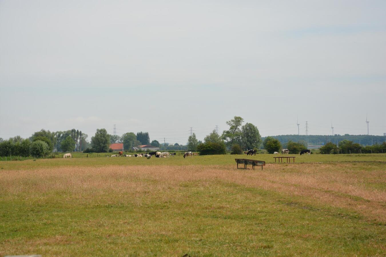 Goed gelegen stuk weiland 