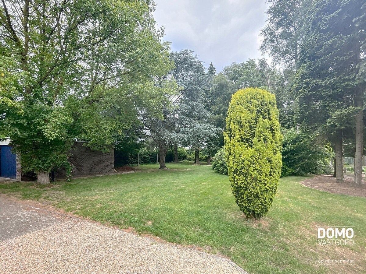 Open bebouwing met karakter, ruimte en tuin op topligging te Schulen 