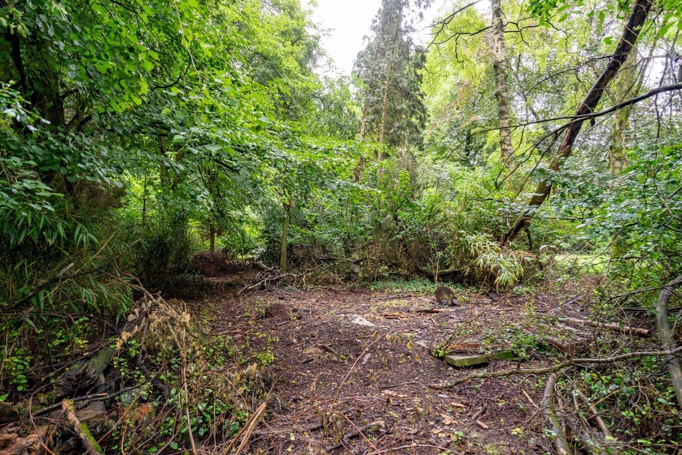 Uitzonderlijke bouwgrond(mits afbraak) 