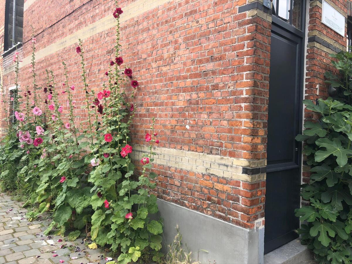 Exclusieve Half Open bebouwing - nabij Muinkpark. 