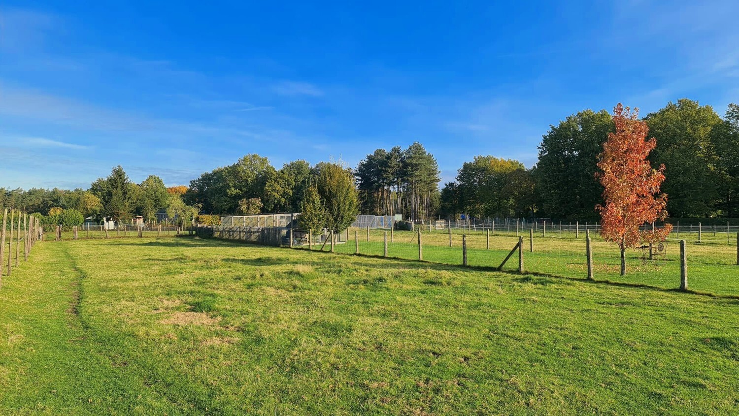 Betaalbare woning op riant perceel van 2330m² 