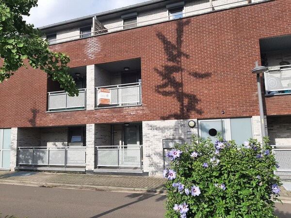 Verhuurd duplex - Beringen