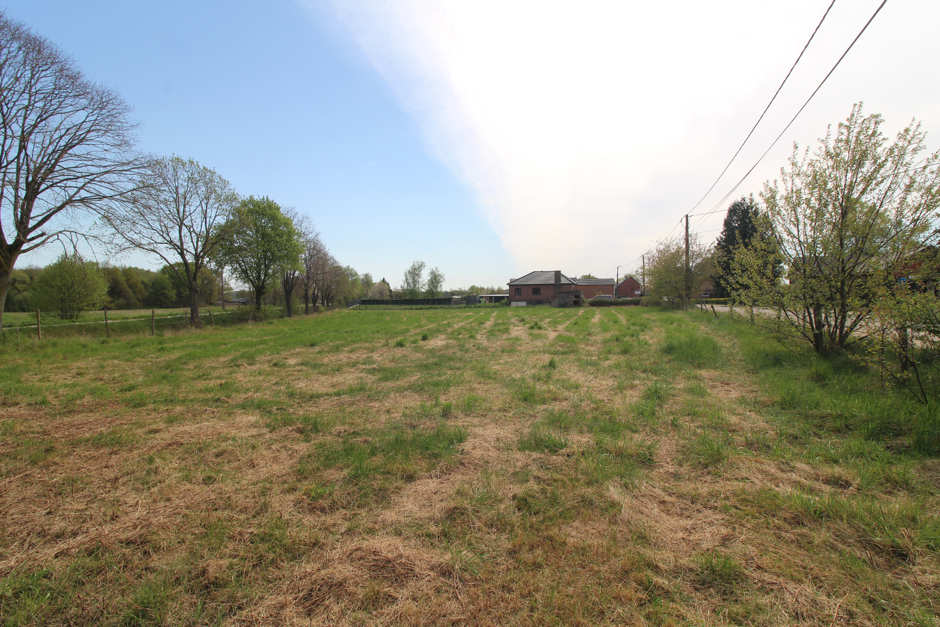 Verkocht weiland - Bekkevoort