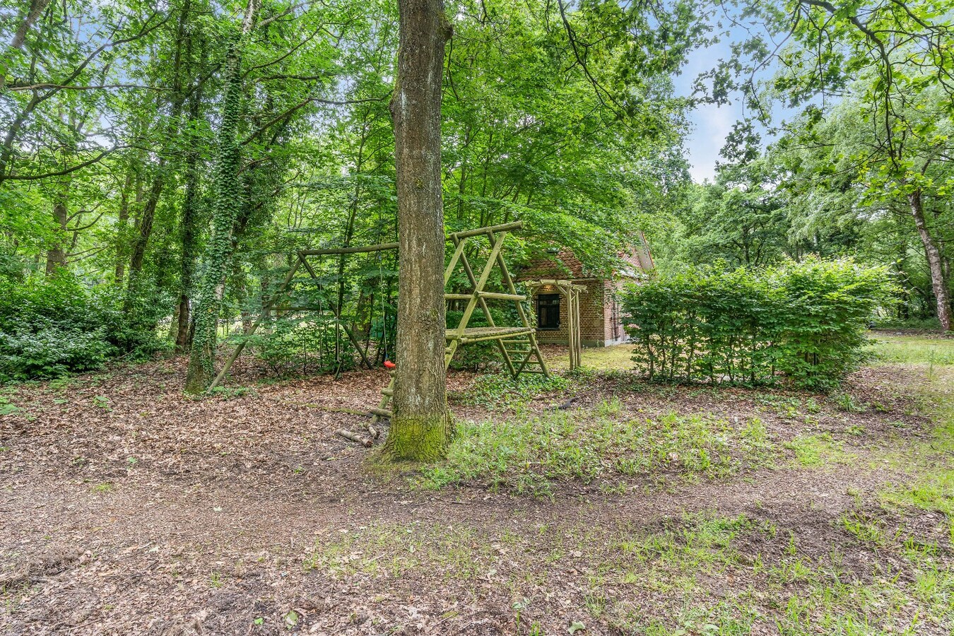 Authentiek horecapandje ideaal voor een healthy coffee-, lifestyle- en natuurconcept in het Dilserbos-Sparrendal. 