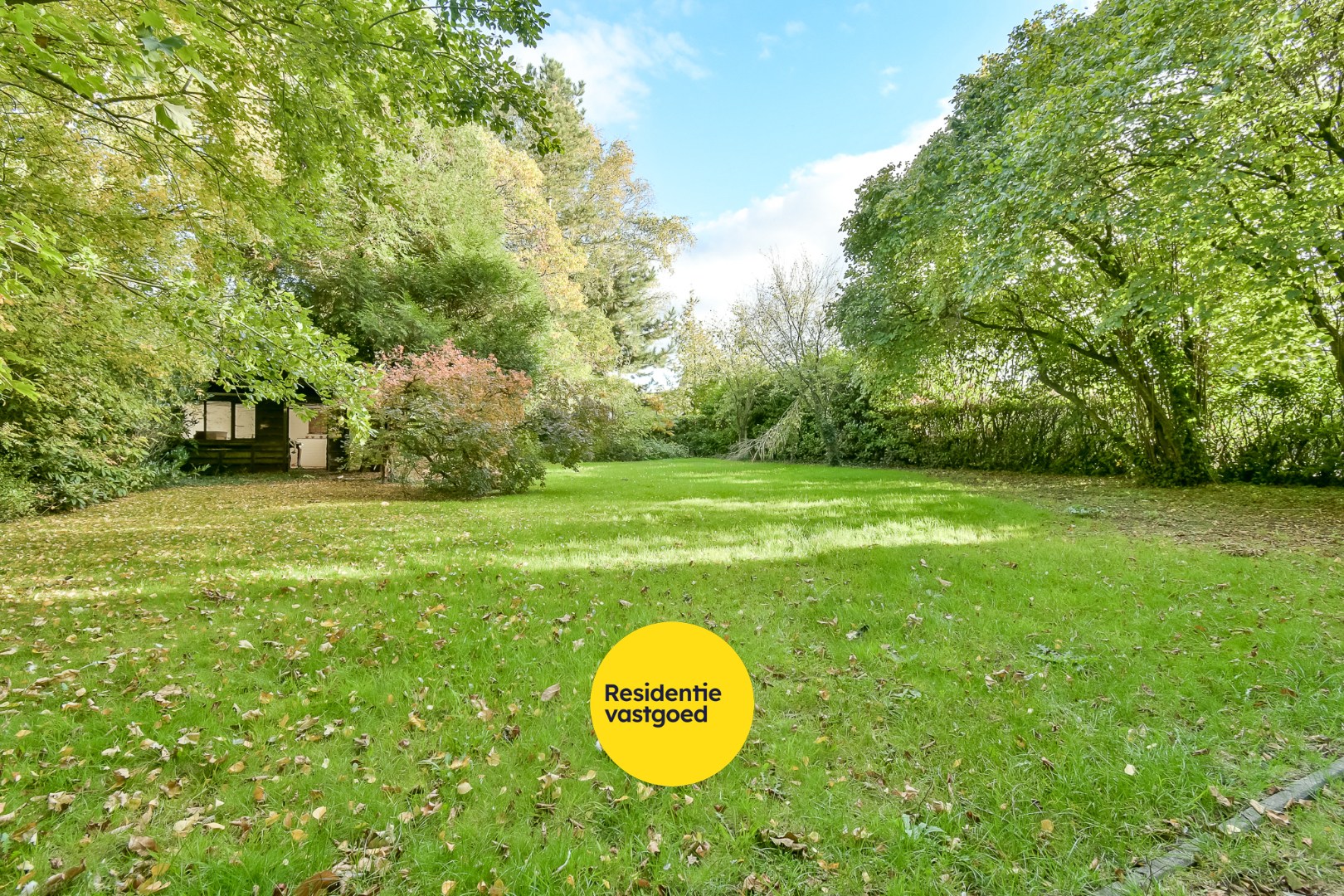 KIJKDAG zaterdag 8 november van 14u tot 16u, op afspraak! 