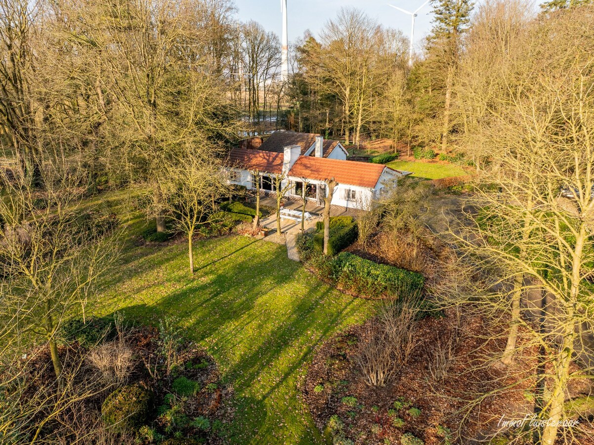Idyllische woning midden in het groen op 7.085 m2 te Turnhout 