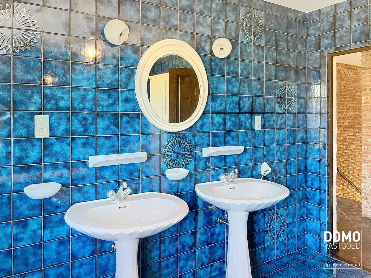 RUIME WONING MET 4 SLAAPKAMERS OP RUSTIGE LOCATIE IN DORNE (MAASEIK) 