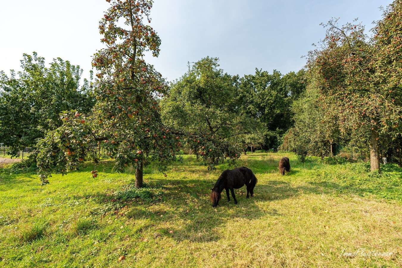Propriété vendu À Neerpelt