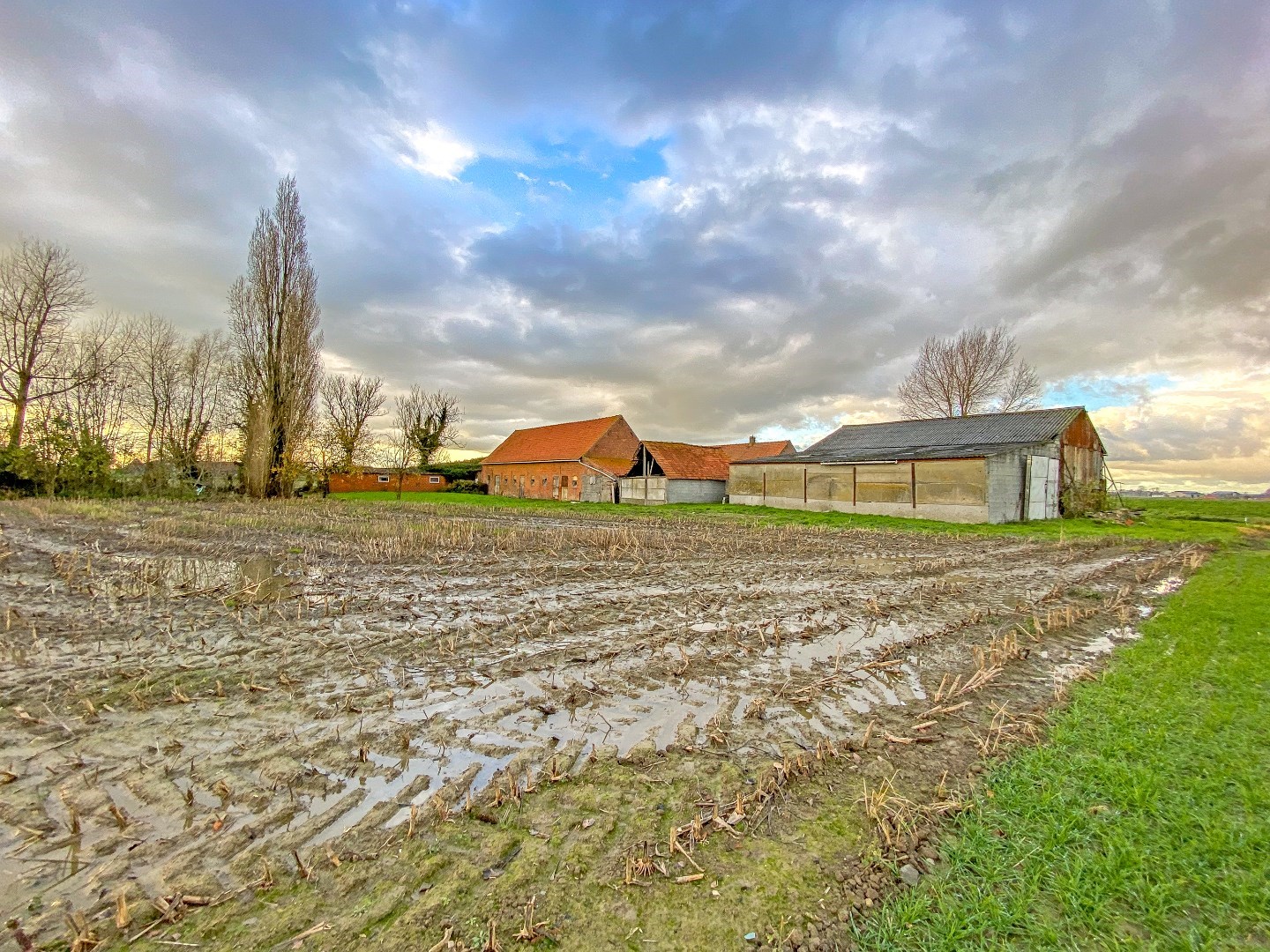 Landelijk gelegen te renoveren hoeve op 4395m². 